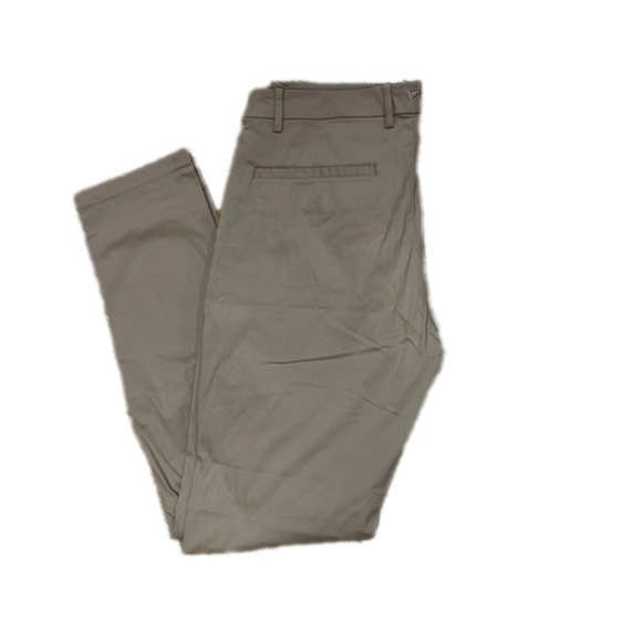 birddogs pee pants